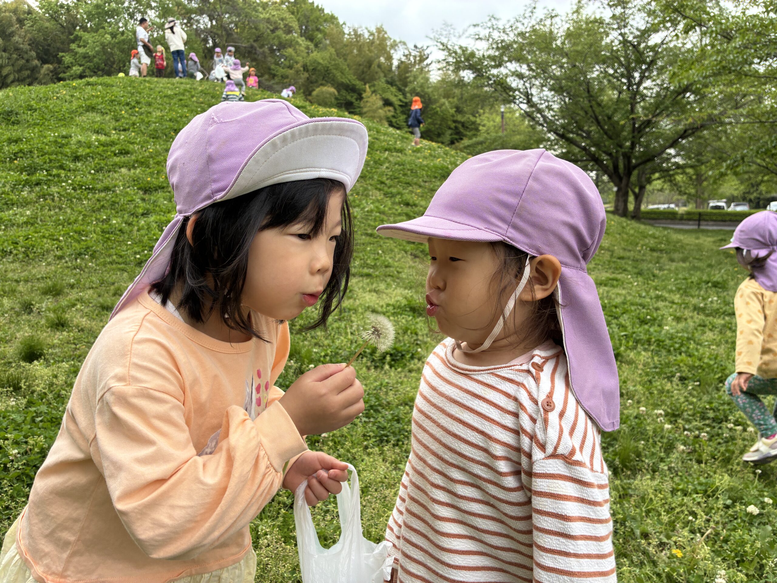 メインビジュアル(5)