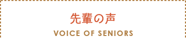 セクションタイトル：先輩の声